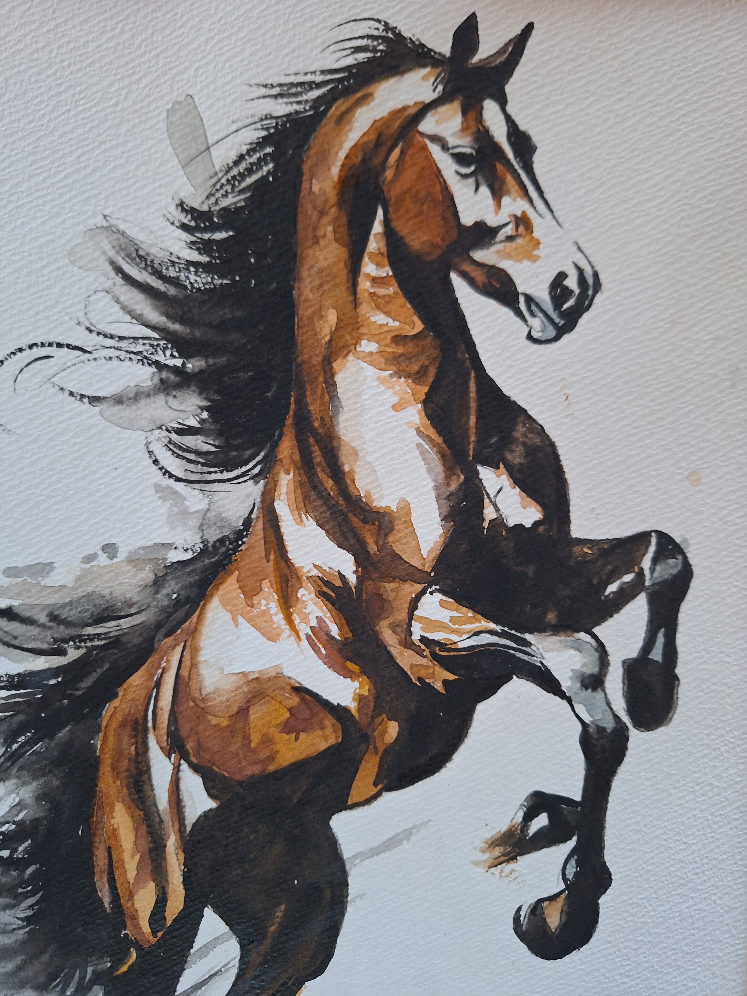 水彩画 暴れ馬 | 工房 和み