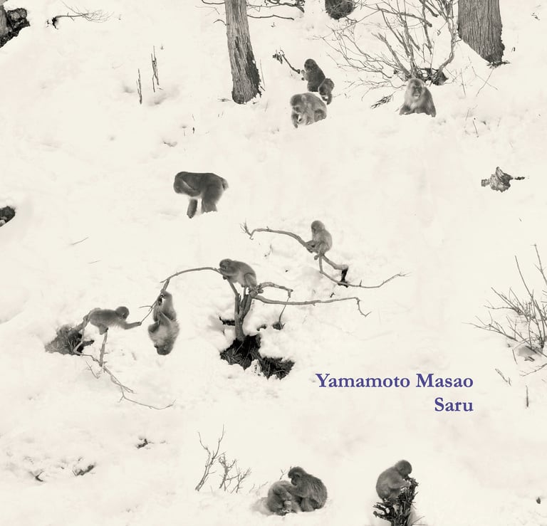 Catalogue / 作品集 | Mizuma Art Gallery