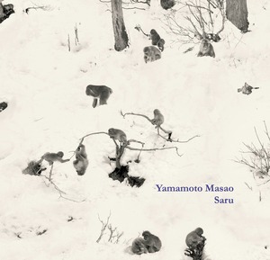 山本昌男　YAMAMOTO Masao：”Saru”　