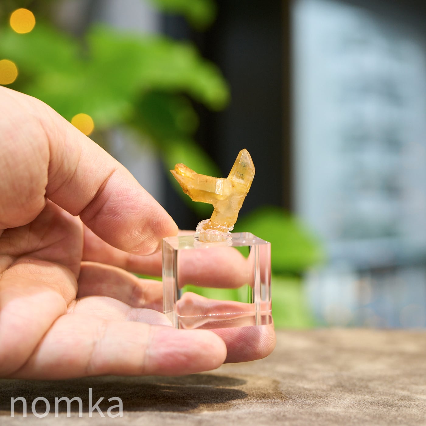 太陽を纏う黄金の翼】ソラリス(ゴールデンヒーラー) 台付き原石