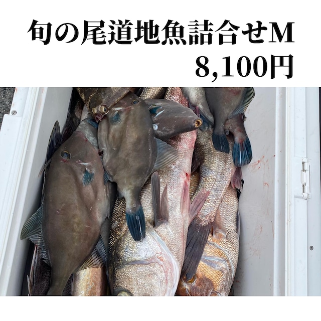 旬の尾道地魚詰合せM　8,100円