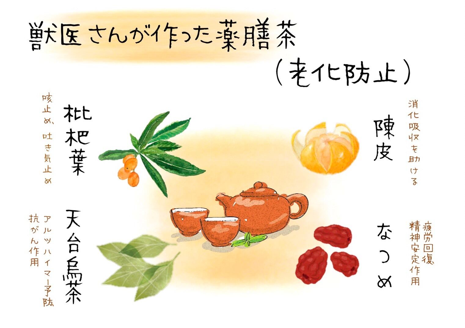 獣医が作る 薬膳茶 老化防止 Highland Cake Poco S Garden