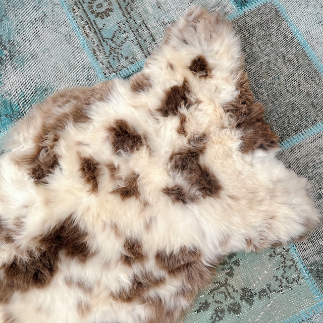 ポーランド ムートンラグ MO005 | ナチュラル シープスキン | 77cm × 130cm