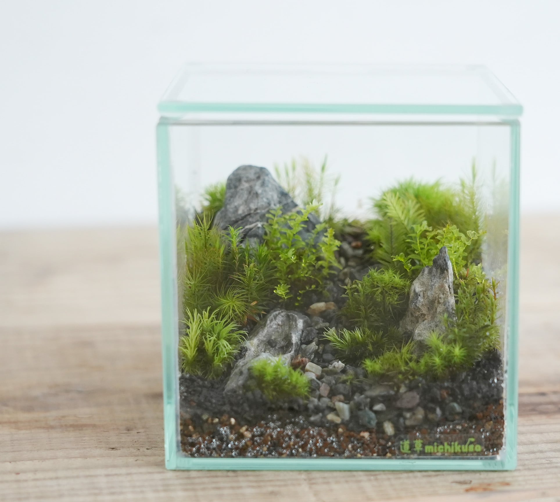 景色を楽しむ苔テラリウム】苔景−コケの箱庭 −◇プレゼントに