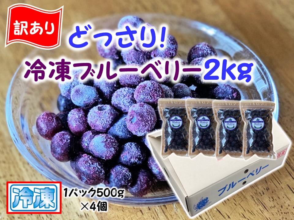 ✪大粒生ブルーベリー2kg✪クール便 8/2本日収穫☆完熟ブルーベリー2Kg ヤマトクール便込み 楽天市場】生