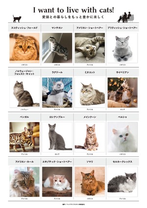 人気16猫種ポスター A1/カラー 1枚