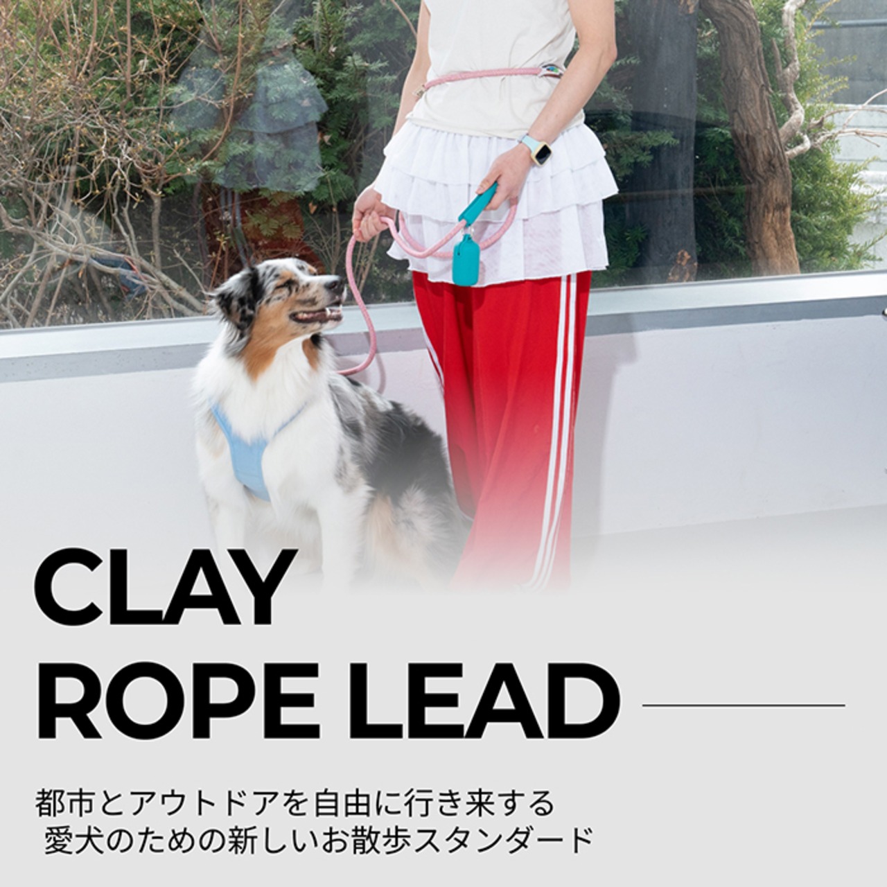 【puppygallery公式】Clay Rope Lead   S-M