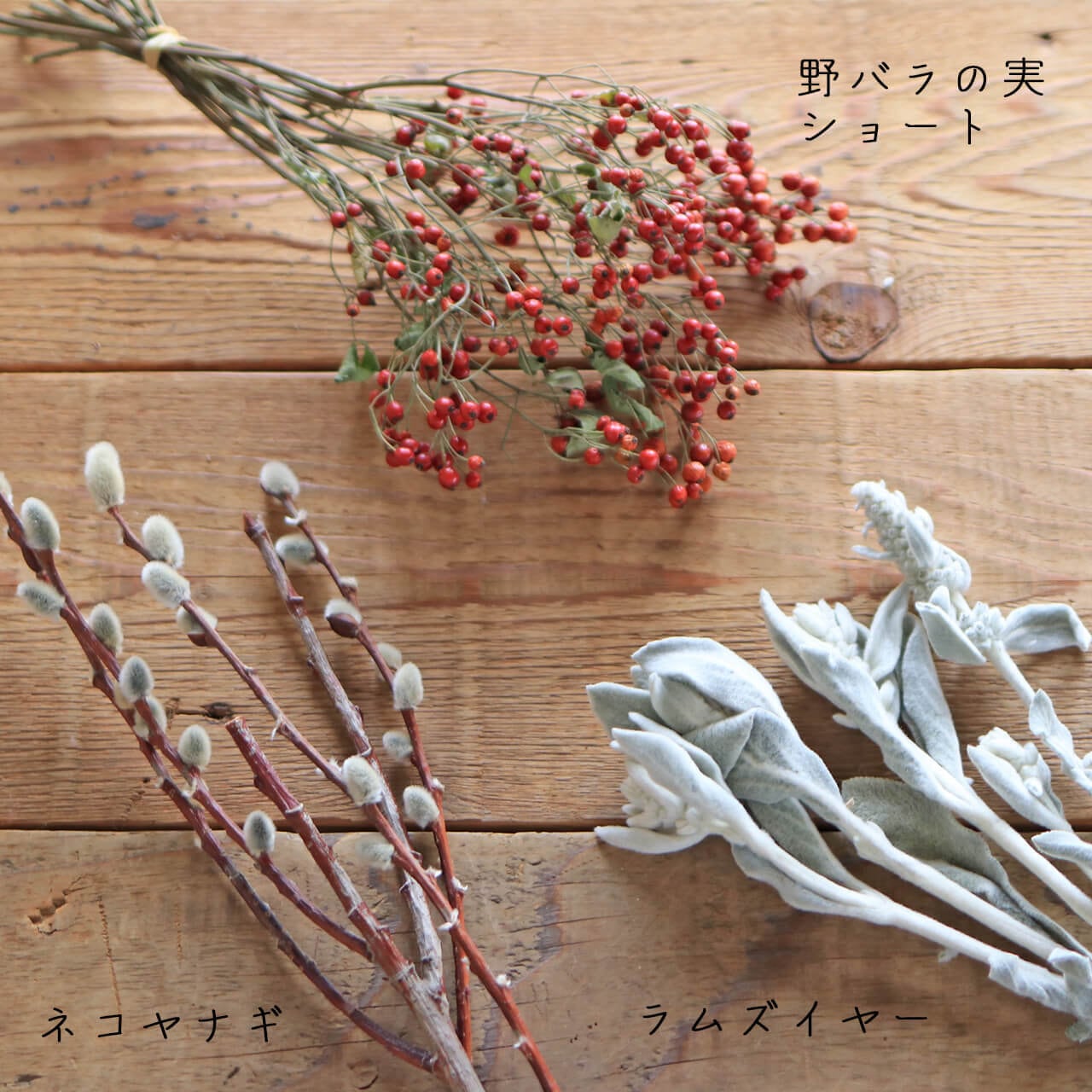 f5546650998aa85a8a134835102594