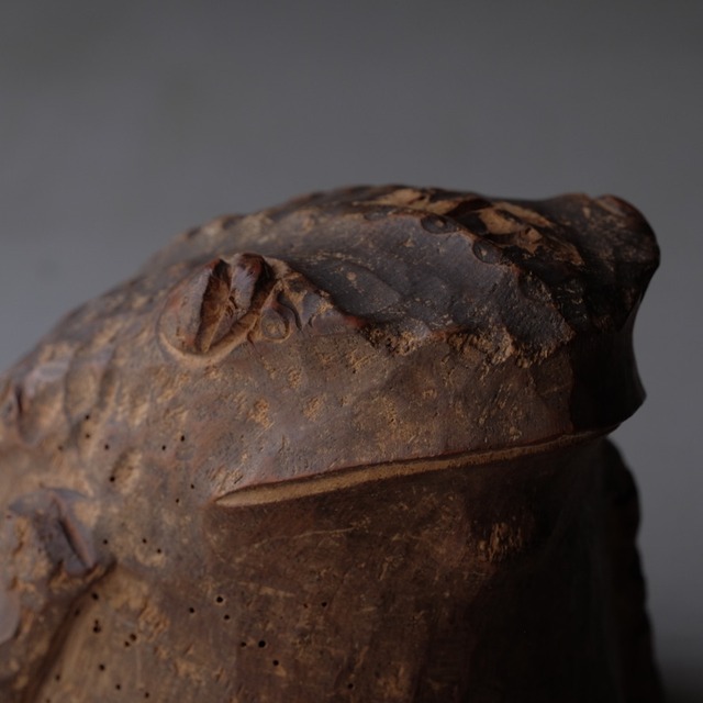 Bamboo frog