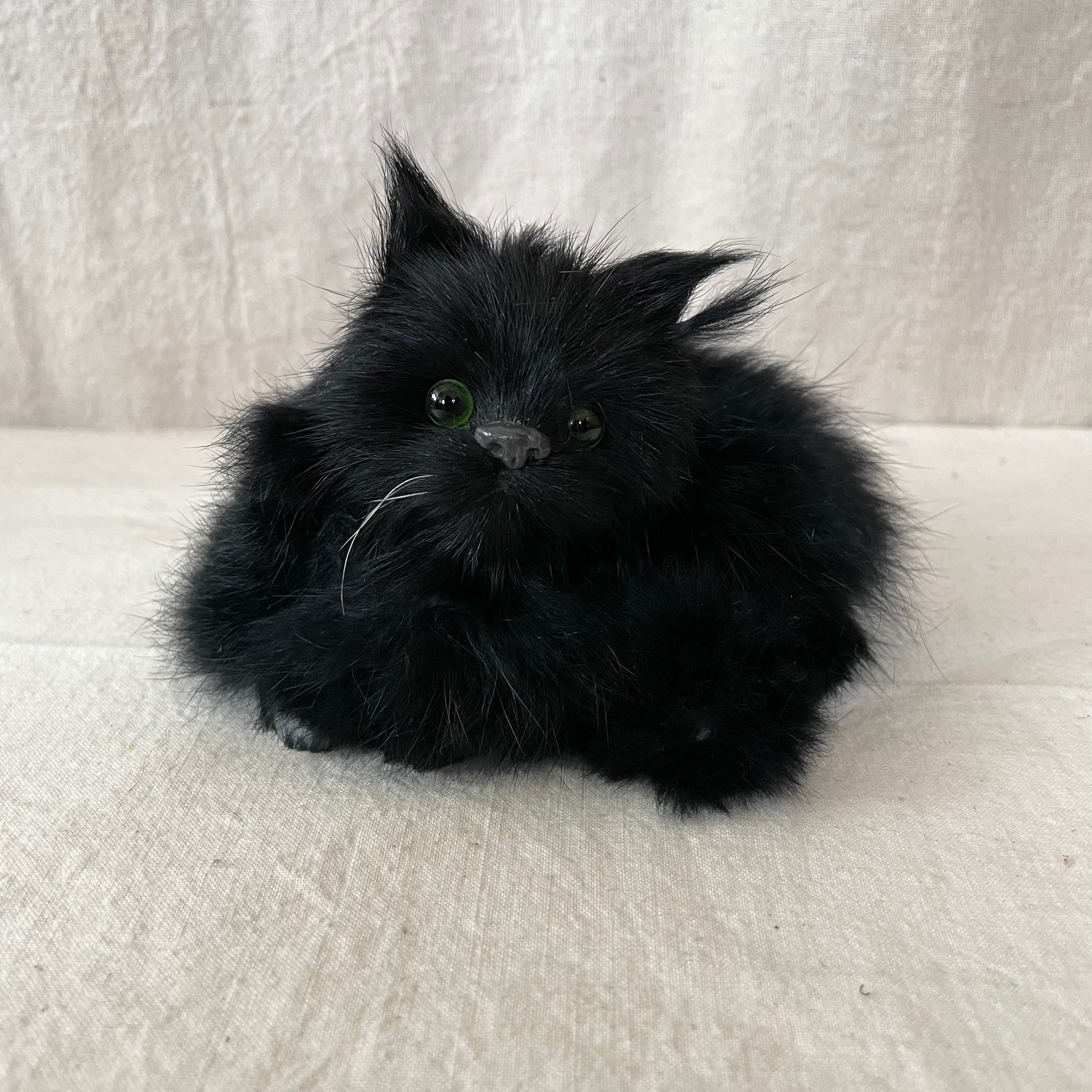 ふわふわな黒猫さん