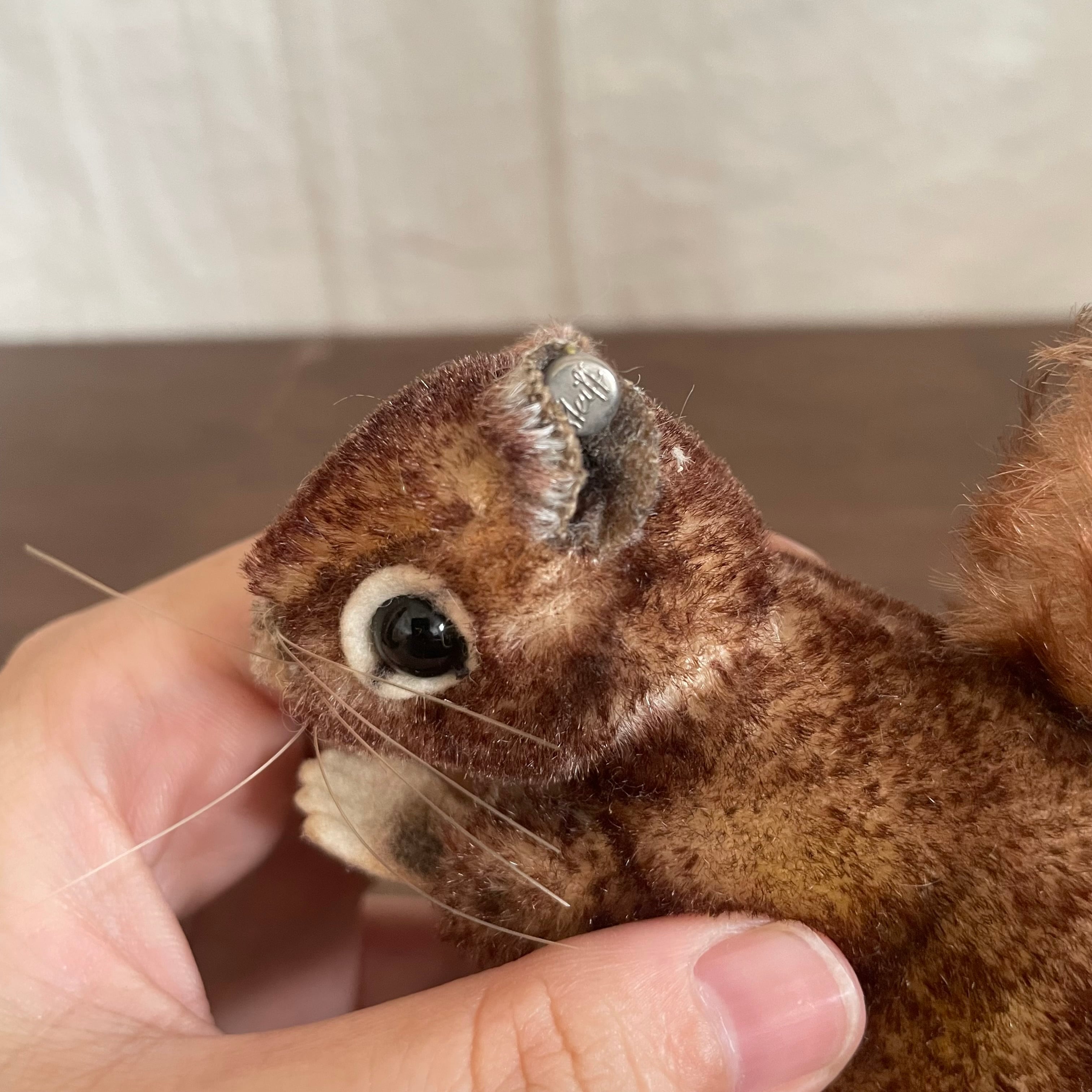 シュタイフのリス | tsuitachi craft&brocante