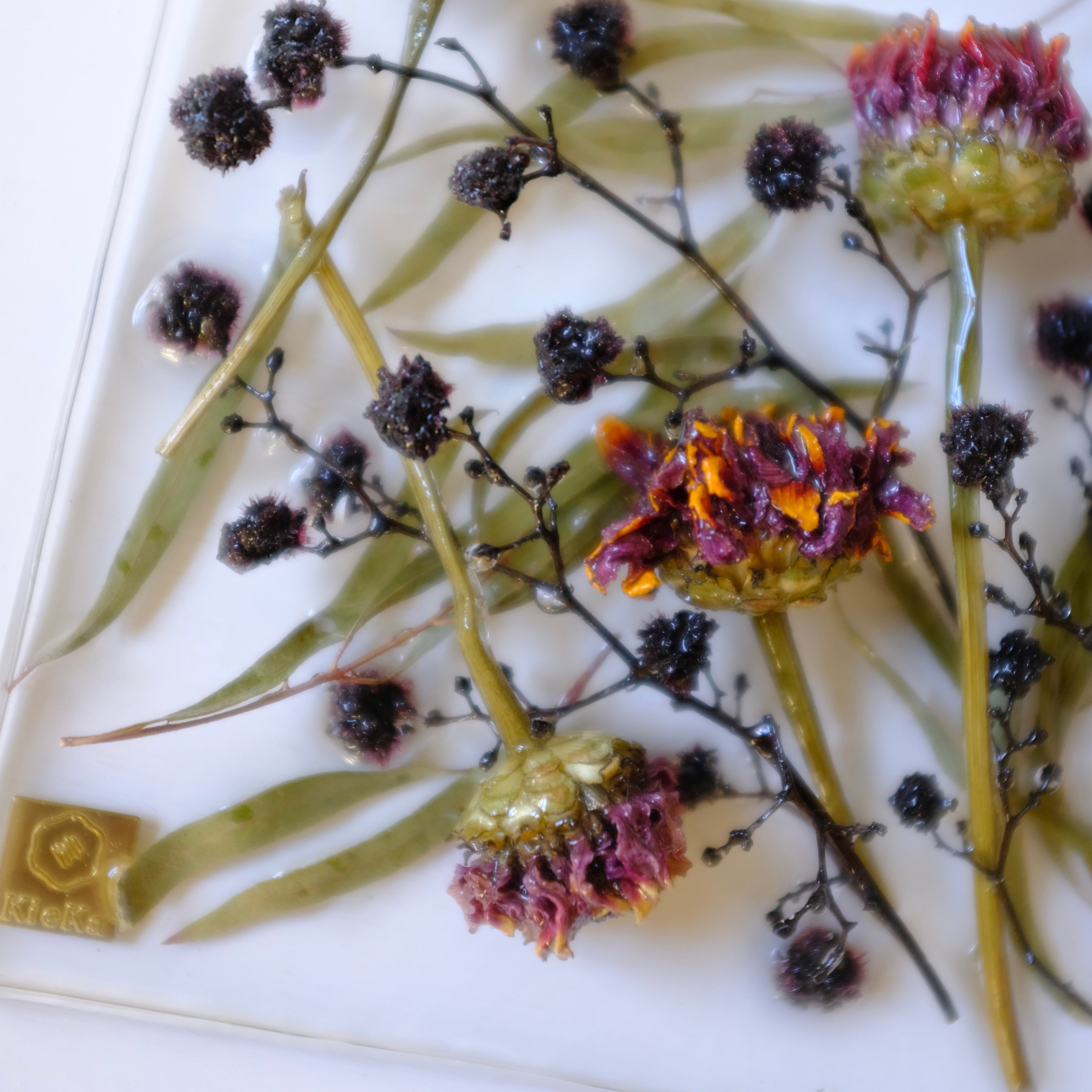 sumika dried flower square ジニアとスターリンジア | KieKa