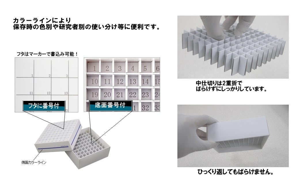 防水カラーフリーズボックス81穴 | 株式会社フリーエス