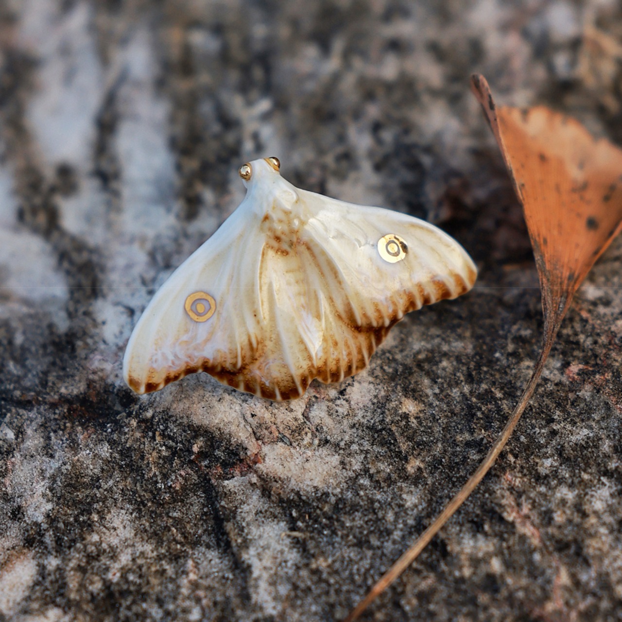 蒼月標本　月夜の蛾のピアス  M25156