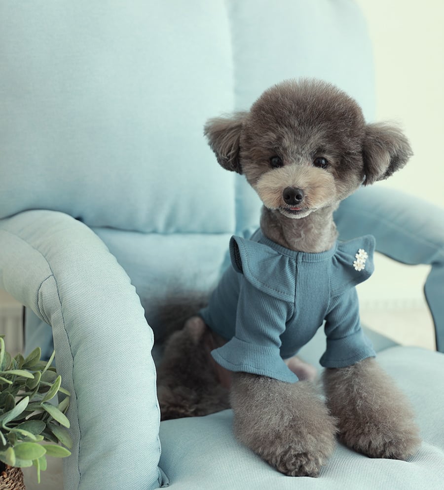 purina t-shirt S ~ XL 4color  /  犬服 秋冬 Tシャツ ブラウス 上品 可愛い ワンコ服 ストレッチ 犬の服 長袖 無地 ドッグウェア フリル シンプル ニット お揃い ハイネック 韓国ワンコ服 小型犬 中型犬