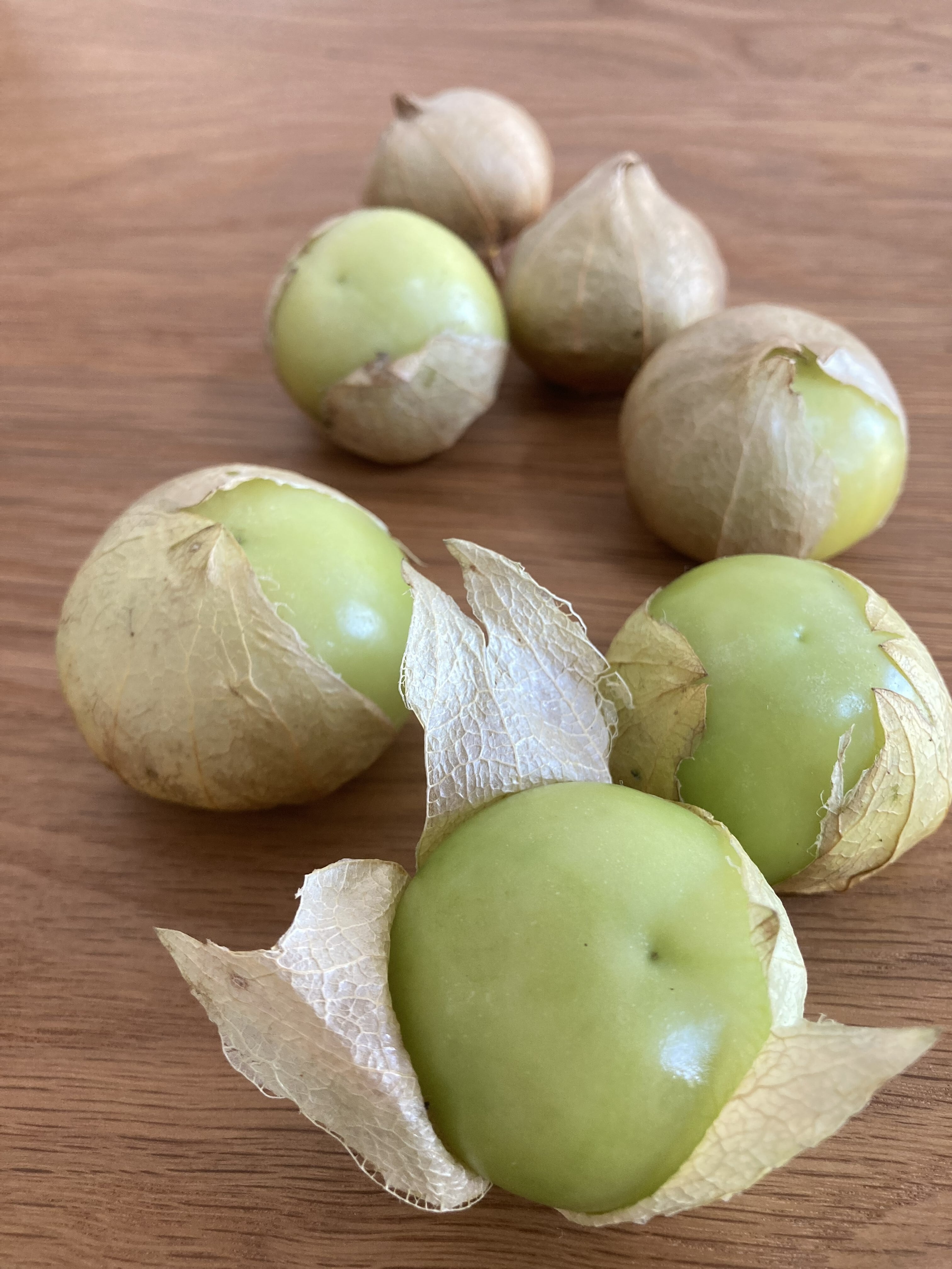 トマティーヨ苗　ご確認用 今期販売終了※トマティロ［TOMATILLOS］トマティーヨの苗【固定種