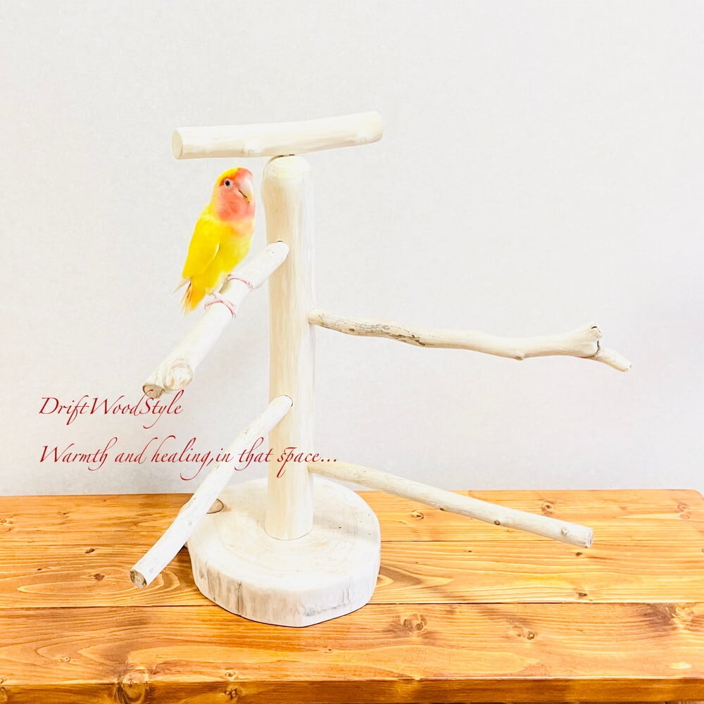 流木の止まり木 取り外しができる止まり木スタンド Mサイズ インコ