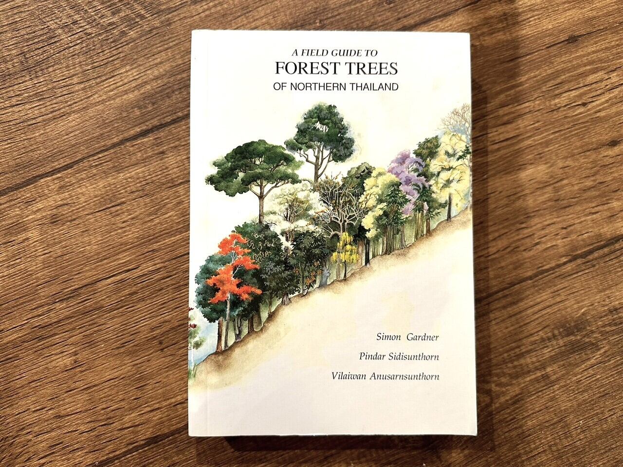 【VW120】A FIELD GUIDE TO FOREST TREES OF NORTHERN THAILAND /visual book