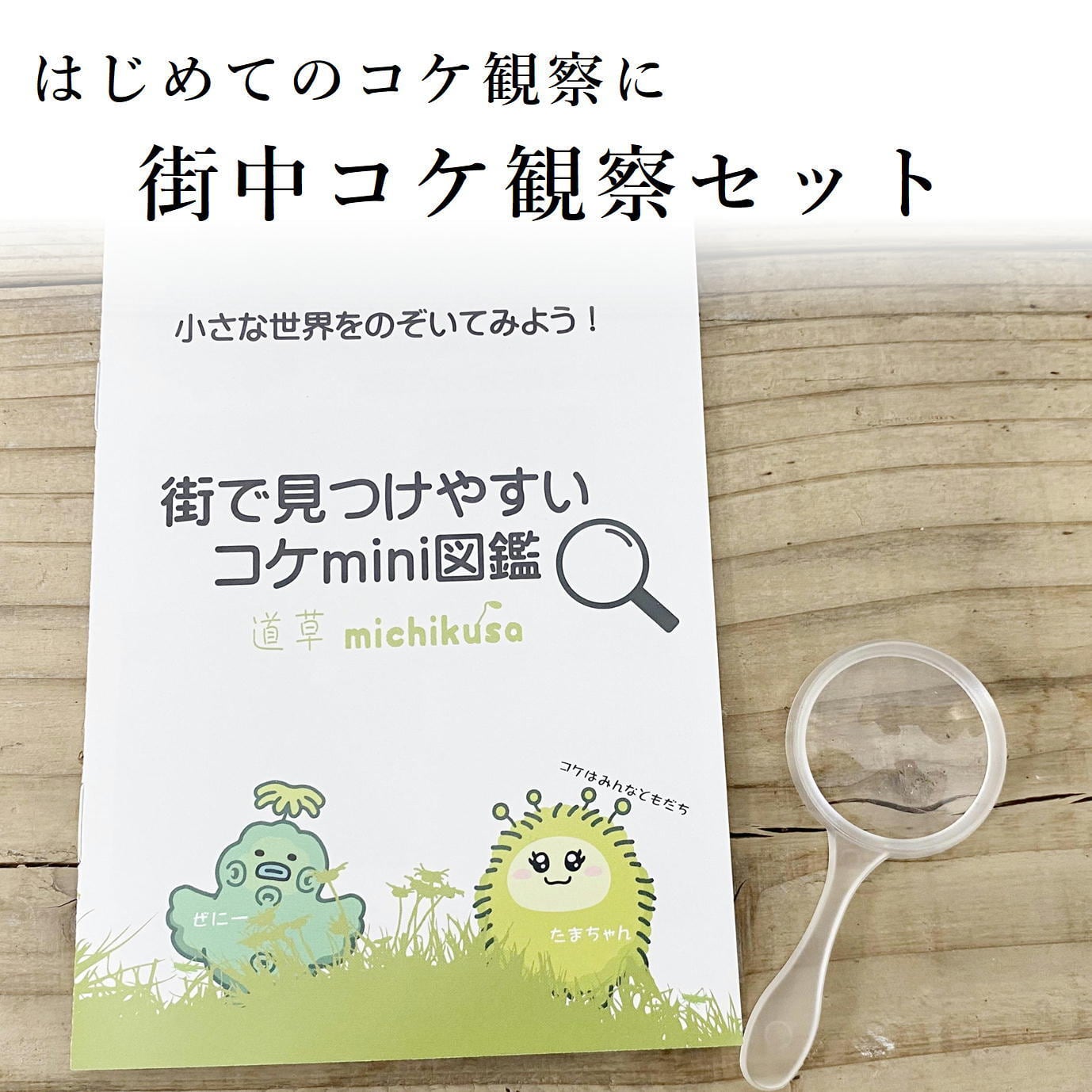 道草オリジナル】街中コケ観察セット＜はじめてのコケ観察におすすめ