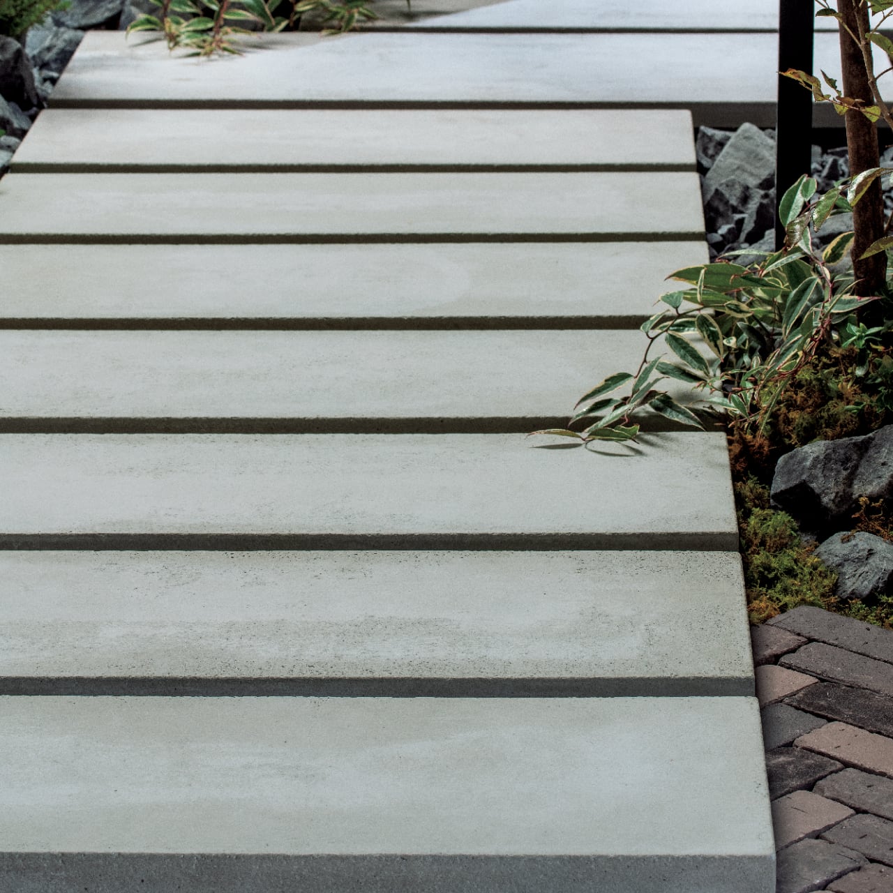 ニュートペイブ　NEWT PAVE