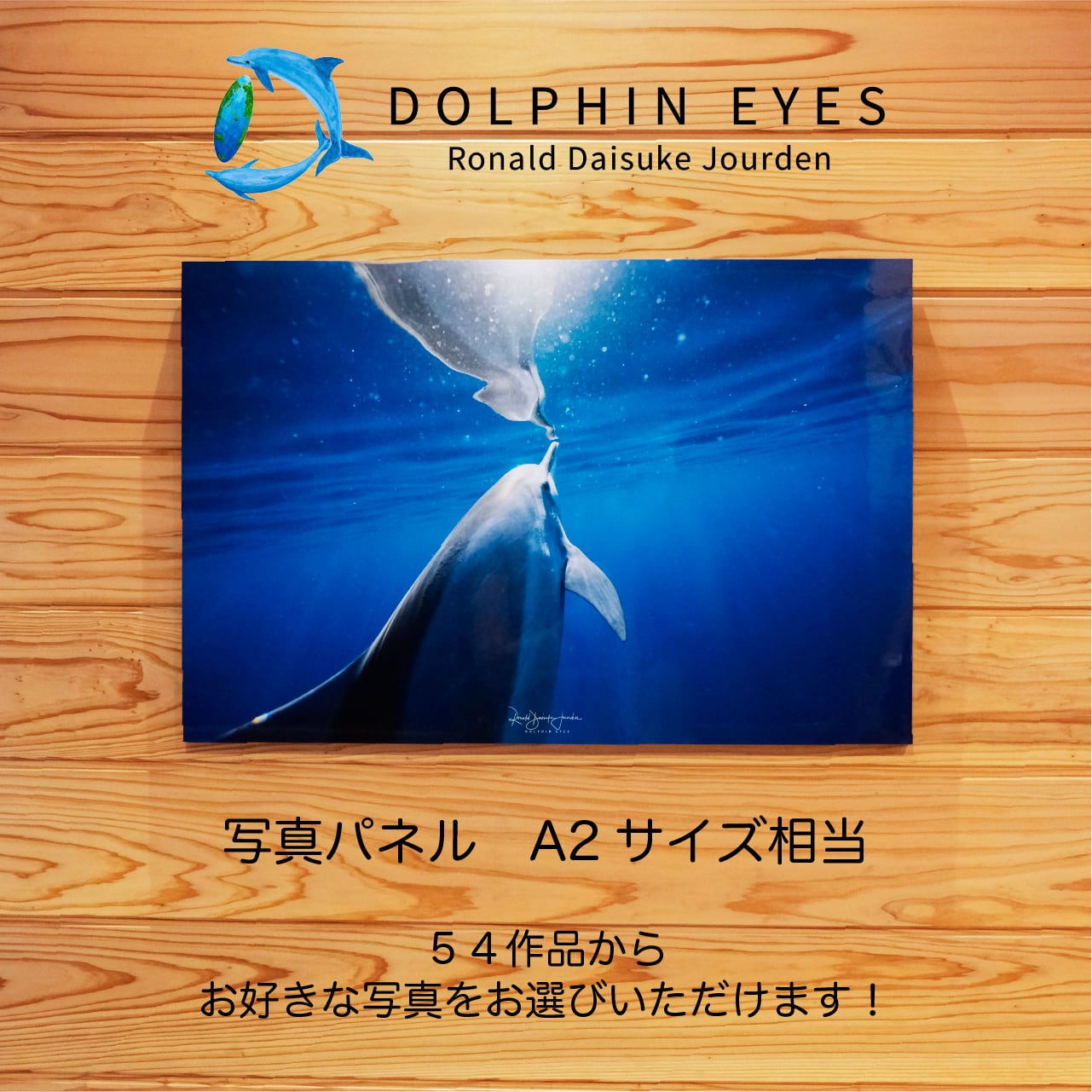 In Between Dreams 』写真集 | GOMAFU RECORD