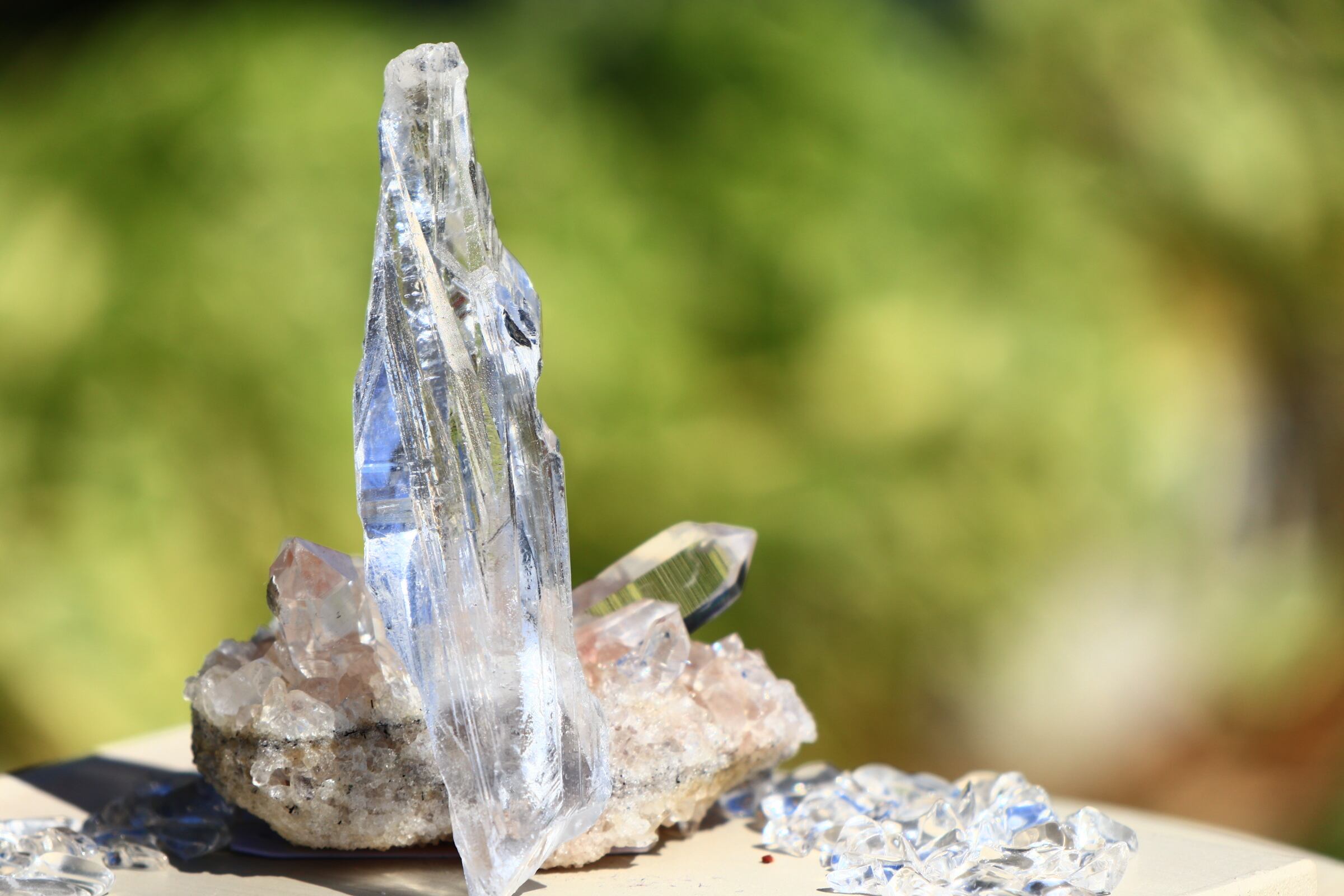 レムリアンシード ピュアレイ 【公式通販】