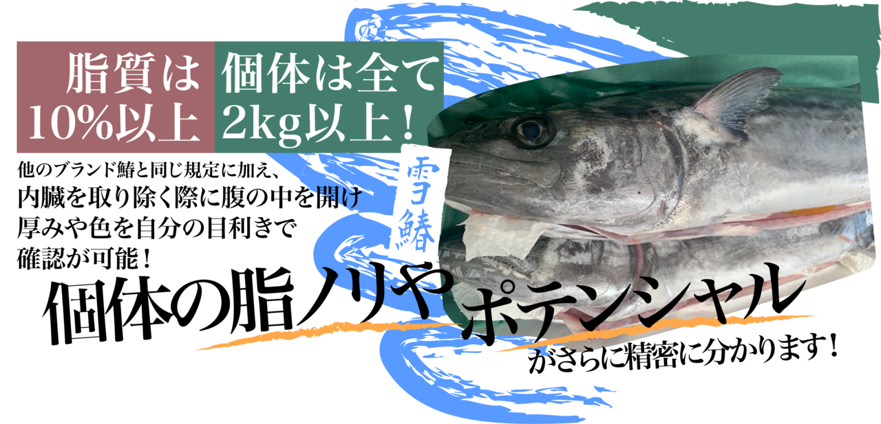 雪鰆脂質10%UP【2キロ-2.5キロ個体】
