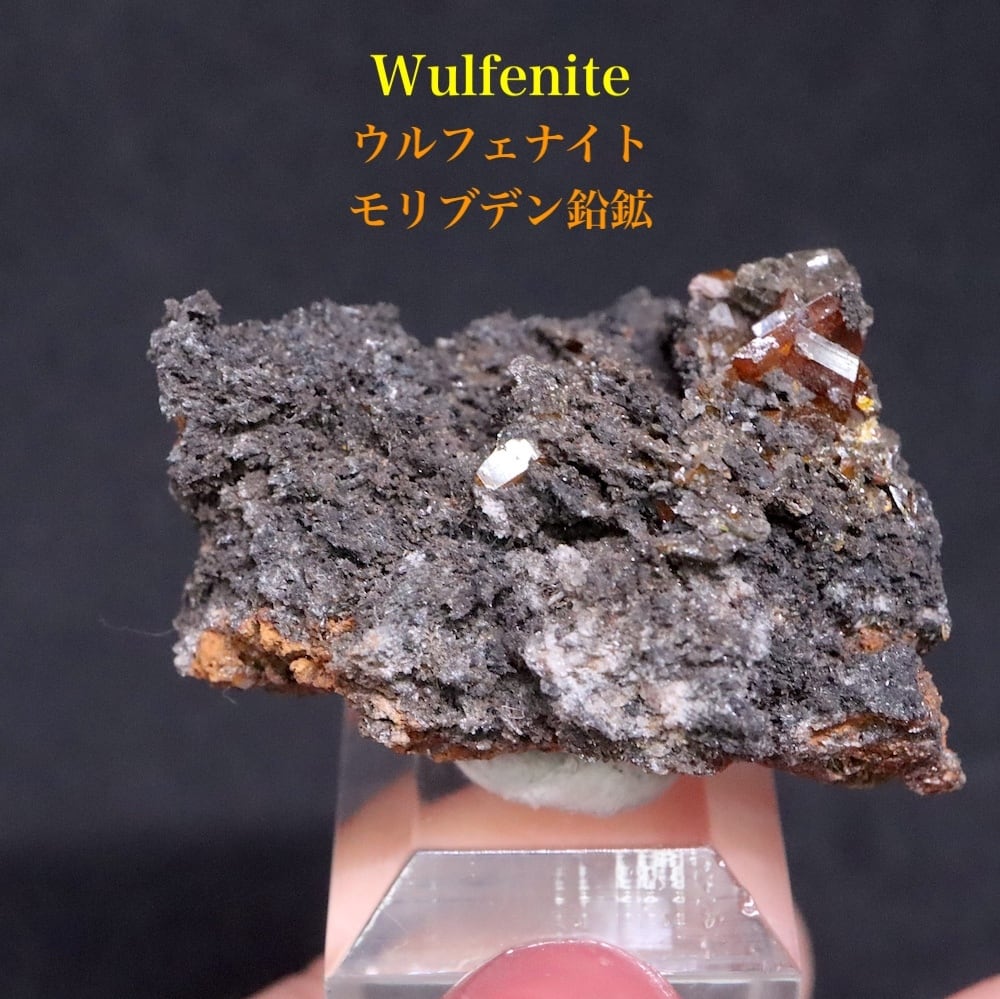 モリブデン鉛鉱 ウェルフェナイト 10.3g WF171 天然石 鉱物 原石
