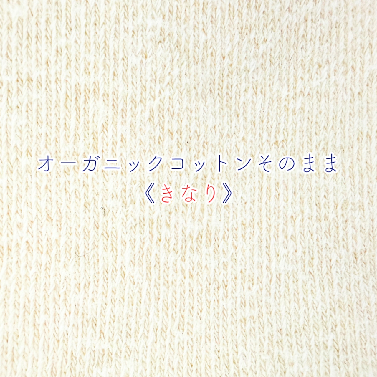 はるなつアームカバー PEANUTS