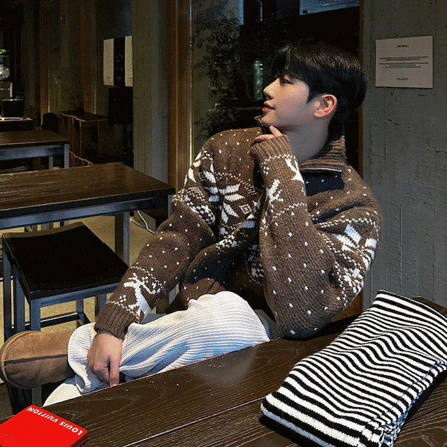 ノルディック柄 ジッパー ニット トップス セーター メンズファッション 2色 韓国