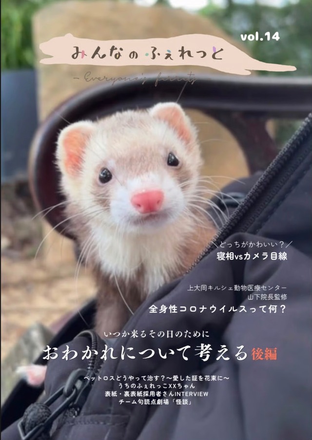 雑誌　みんなのふぇれっと　Vol.14