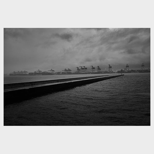 "Cold Sea"