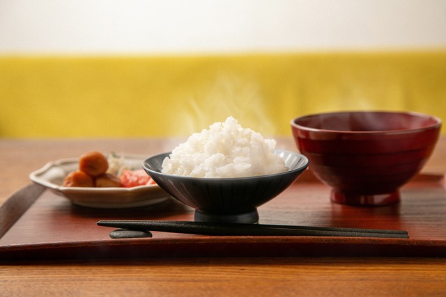 Nさま専用【25年産 白米30kg 送料込み】農薬を使わず有機肥料で土づくりをしたコシヒカリ