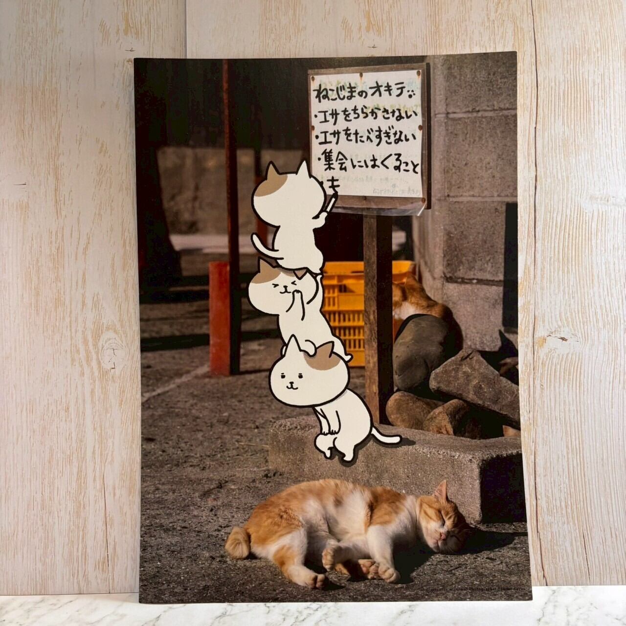 【写真×イラストコラボ】猫島猫の日常 A4アートプリント02 猫島のおきて