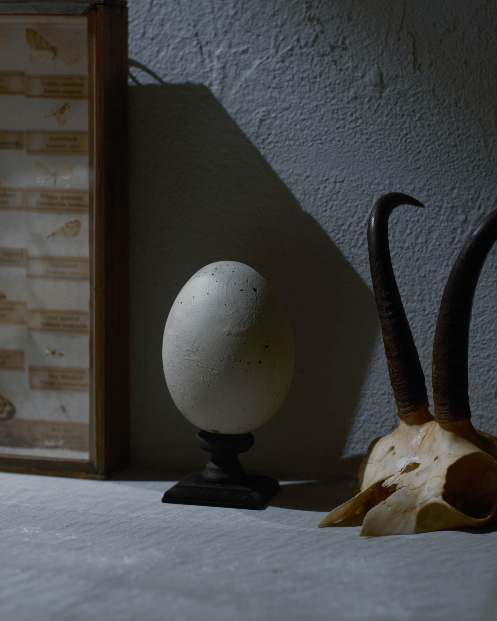 水田典寿　egg object 卵　彫刻 水田典寿 egg object | 貝と耳