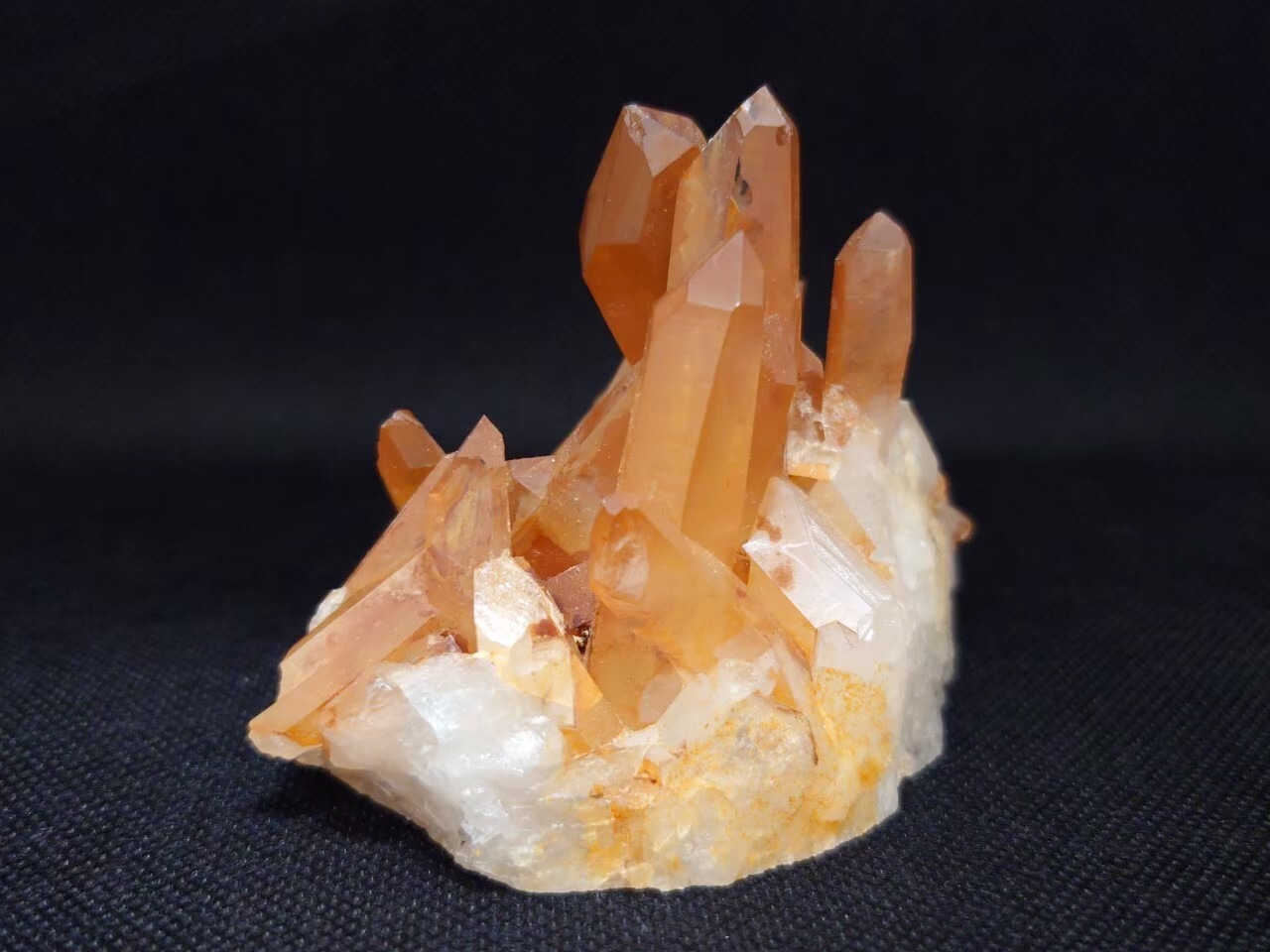 長寿と健康の石31