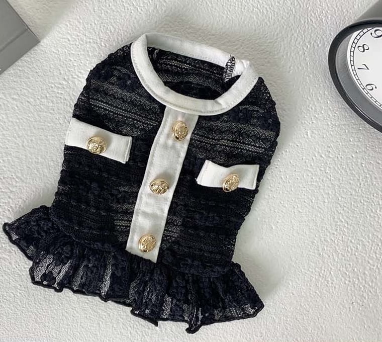 【SALE】cha see-through crop top XS ~ XL 2color / 犬服 春夏 新作 Tシャツ ドッグウェア ショート丈 シースルー 袖なし 小型犬 中型犬 クロップドトップス 涼しい お揃い シンプル