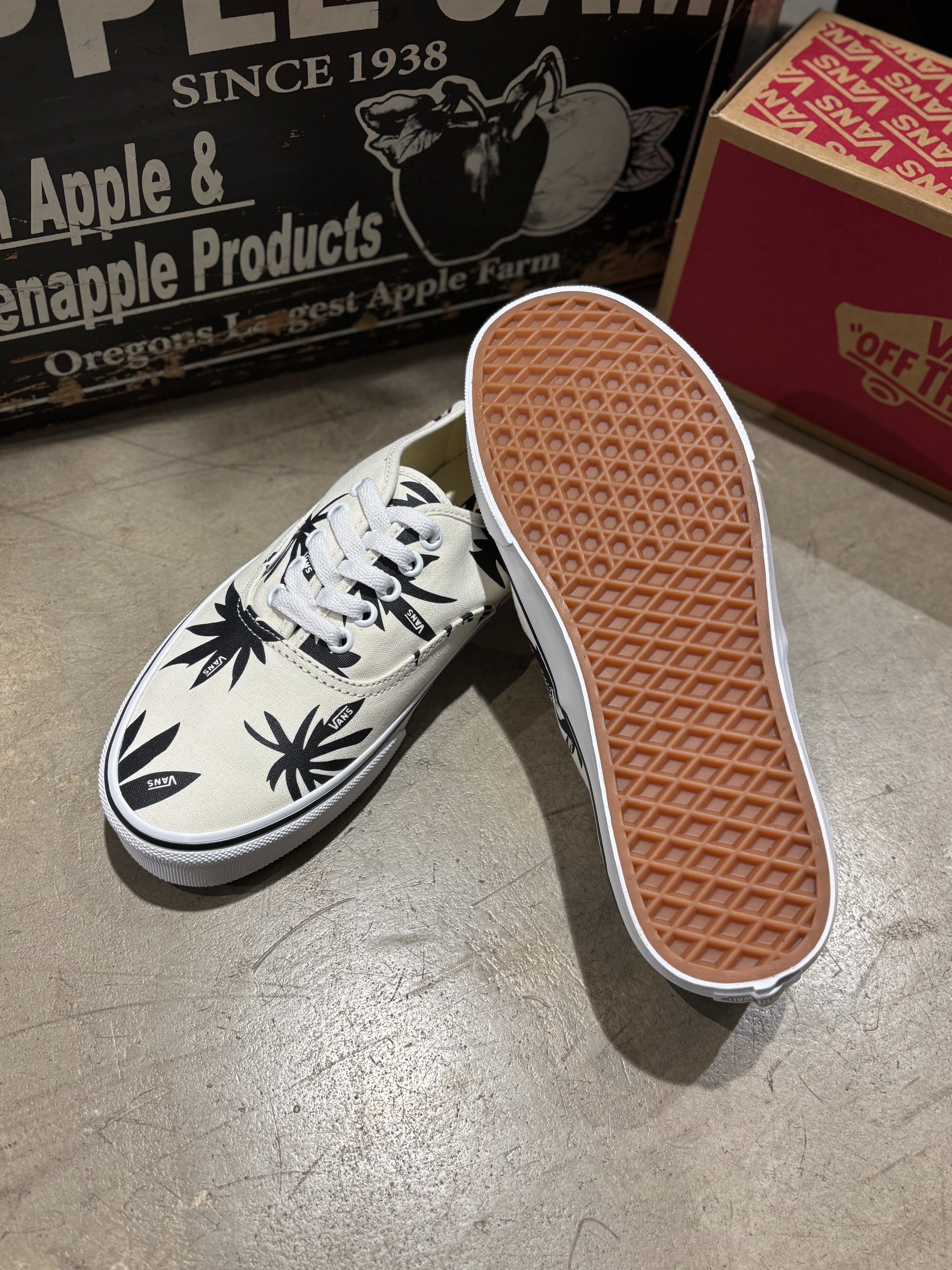 VANS Authentic Archive Mashmallow/Black 