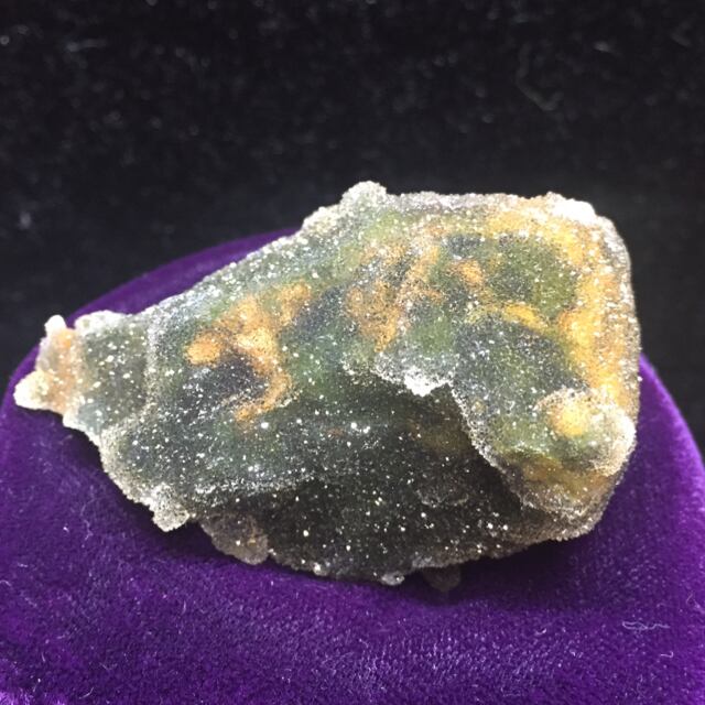 41) クリゾプラス