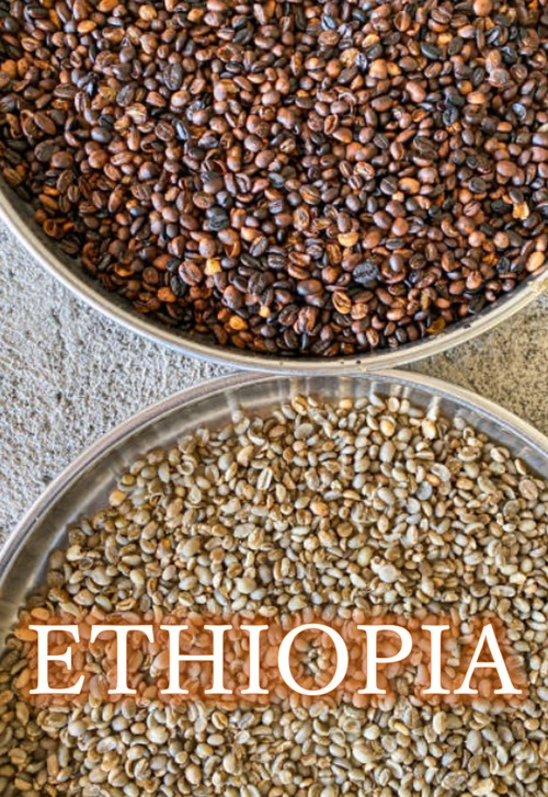 ETHIOPIA Yirgacheffe