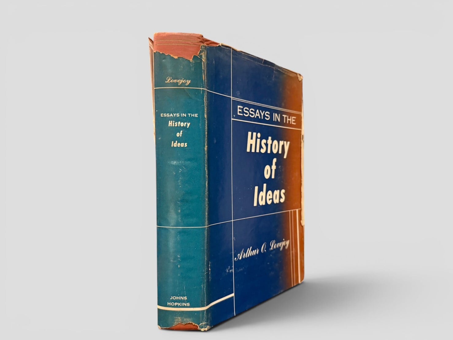 DISPLAY BOOKS(装飾用) | KITAZAWA BOOKSTORE