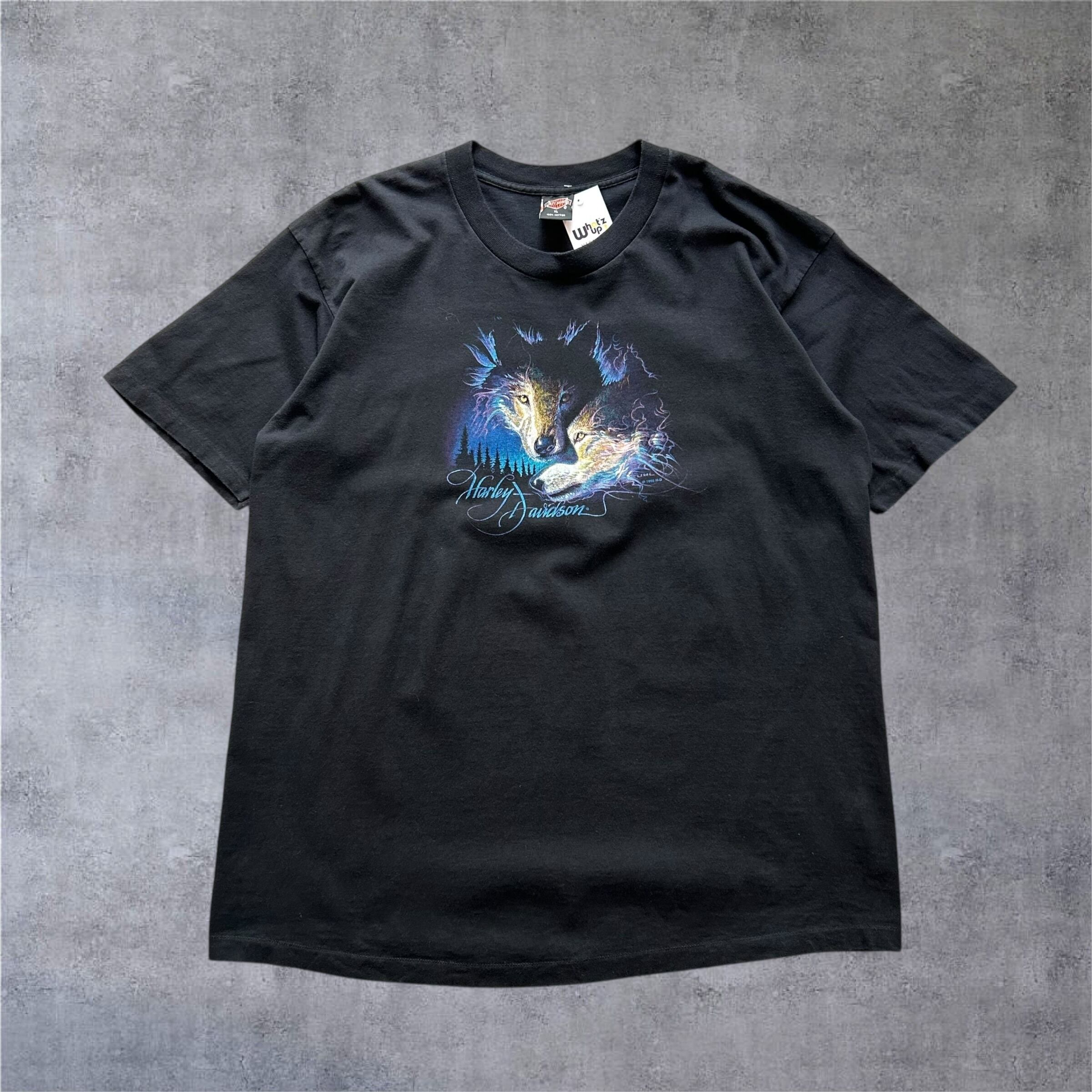 1995s Harley-Davidson T-shirt【高円寺店】