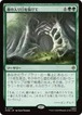 MTG《森の入り口を抜けて/Through the Forest Gate(HOB)》日本語 Foil