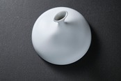 Vista Alegre マレ パスタプレート用 クロッシュ φ13.4×H11.7cm