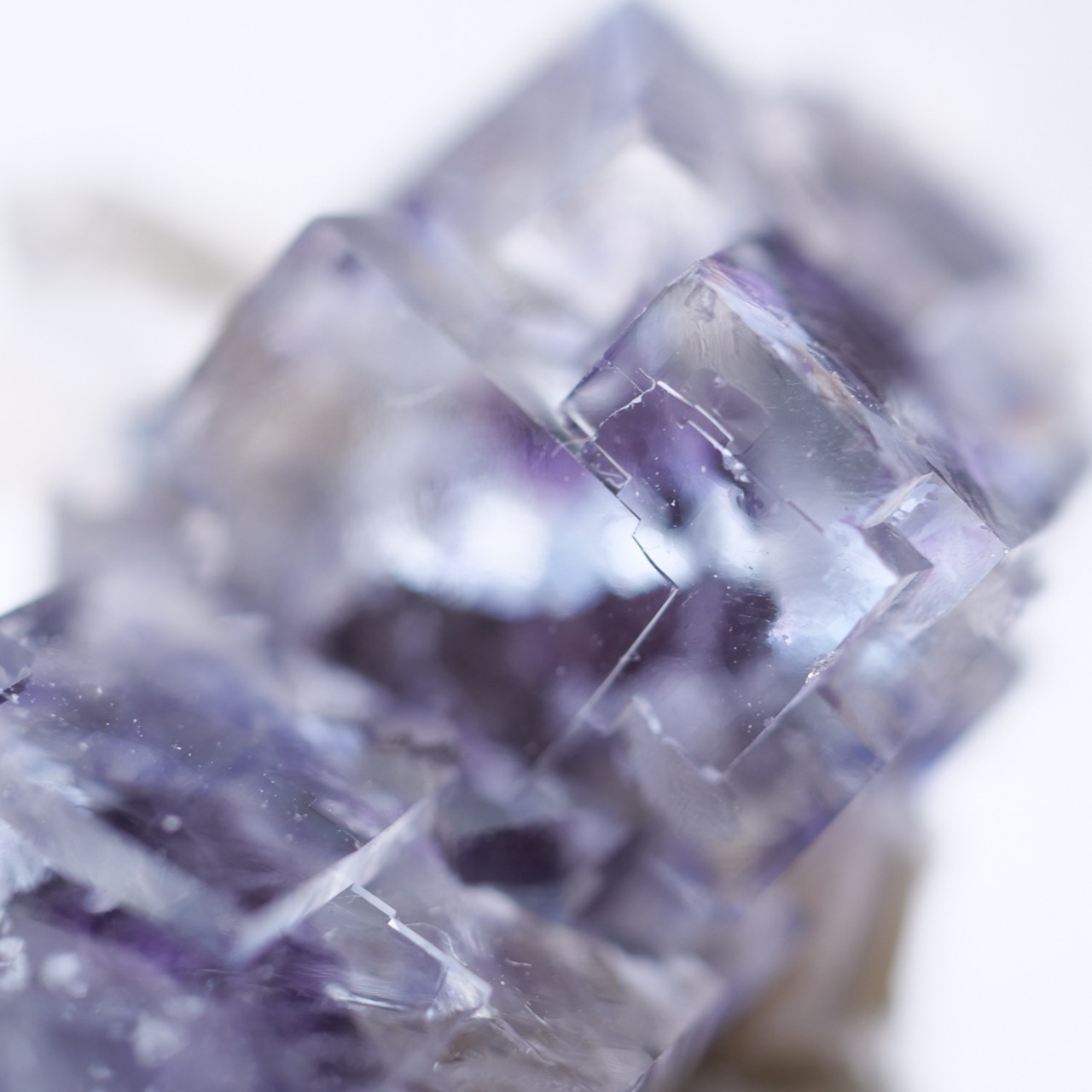 ヤオガンシャン産 フローライト 共生 / 原石 標本【D_1】