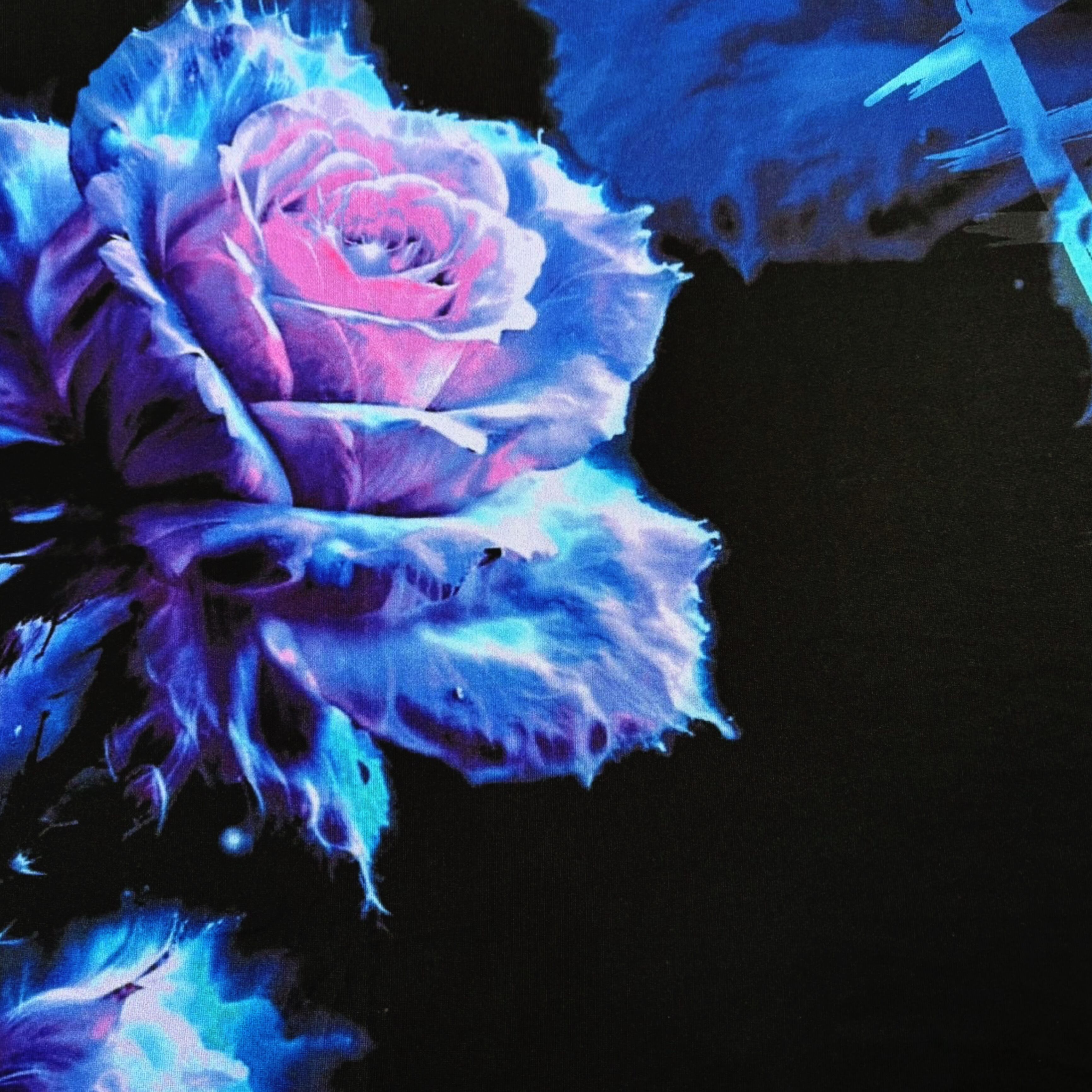 DEEP BLUE ROSE OVERSIZE CUTSEW | NIER CLOTHING