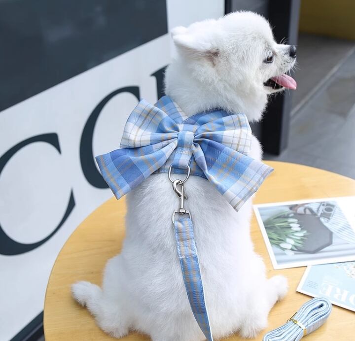 ドッグ 犬 中型犬 小型犬 リード リードセット ハーネス リード付き スリム ストレート リボン かわいい シンプル おしゃれ 個性的 エレガント ラブリー キュート プリンセス フェアリー 都会的 カレッジ風 ベーシック アメリカン プレッピー シンプル シック チェック 格子柄 オールシーズン シーズンレス サマーシーズン ウィンターシーズン 男の子 女の子 成犬 デート お出かけ アウトドア キャンプ 公園 休日 ショッピング カフェ 庭 ガーデン 散歩 ウォーキング 楽ちん 普段使い