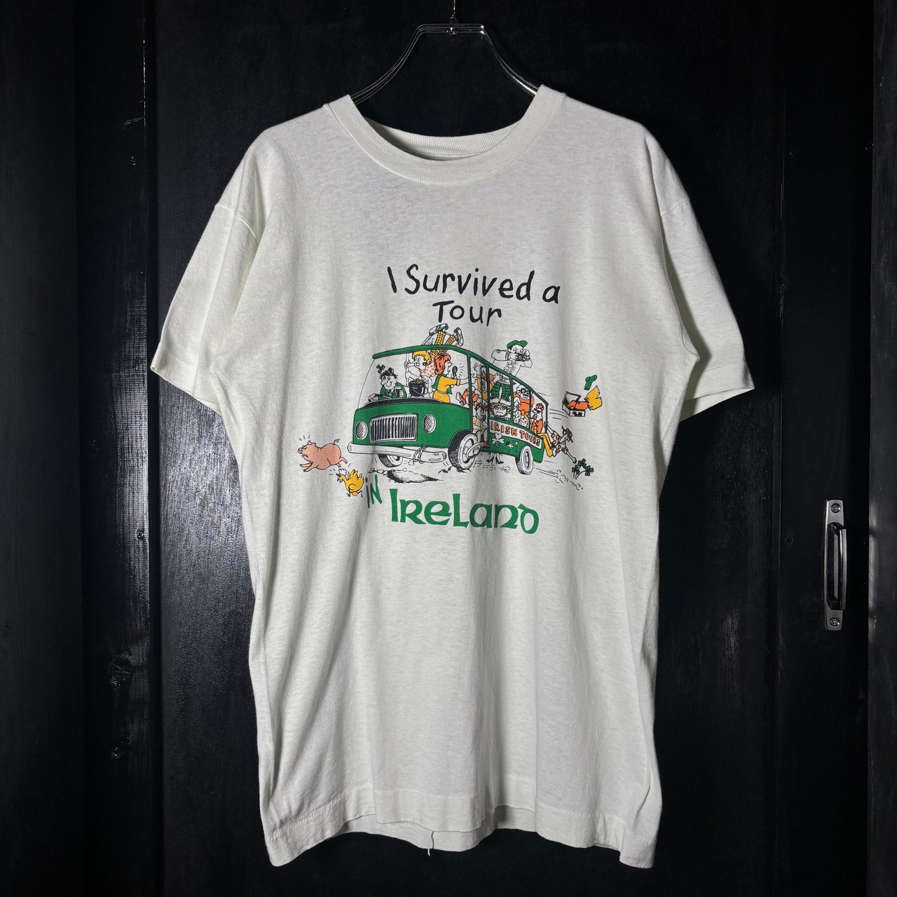 80〜90s SCREEN STARS vintage T-shirt 観光ツアーTシャツ　