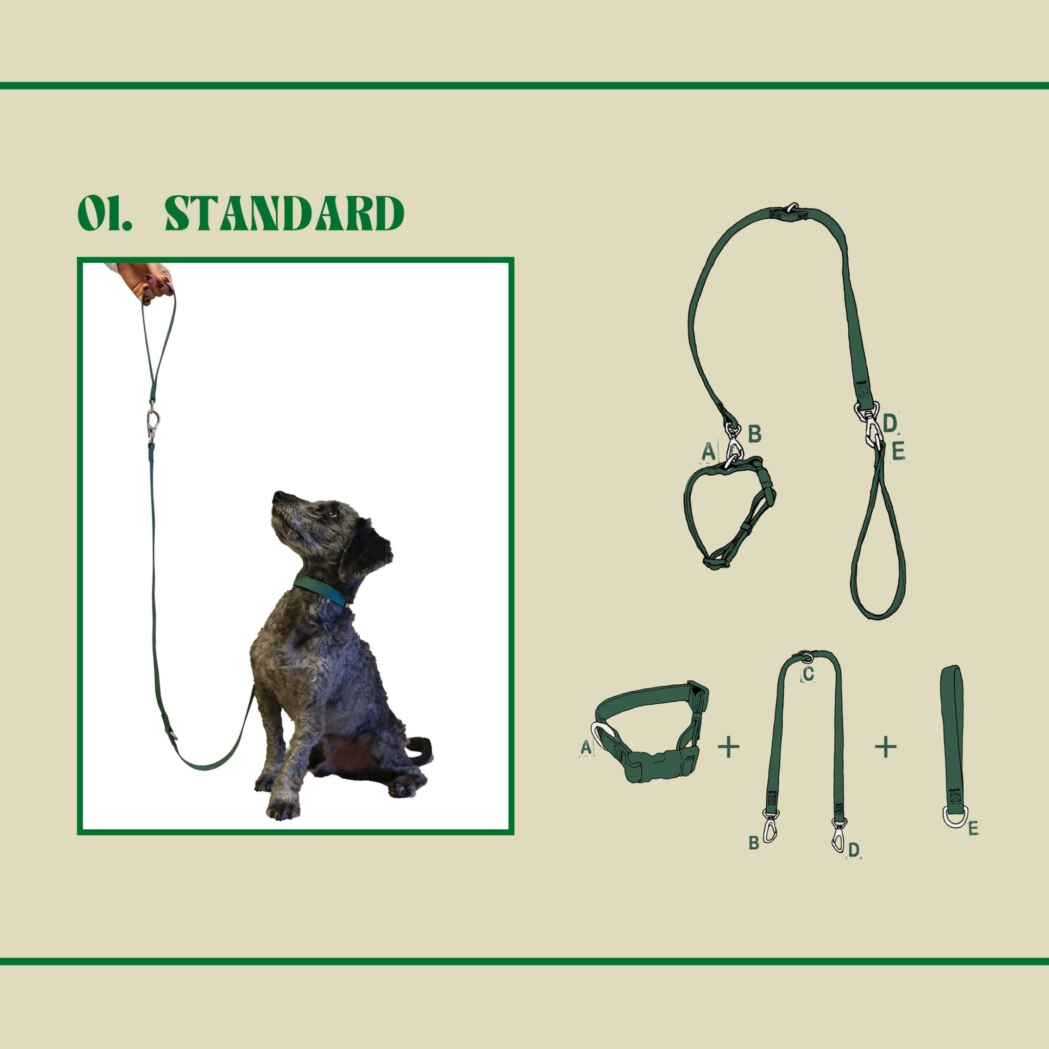 Dog Leash | Ouida