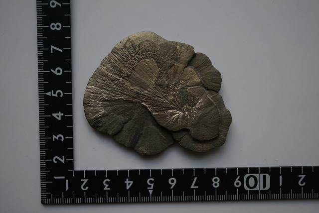 パイライトサン Pyrite Sun 1677